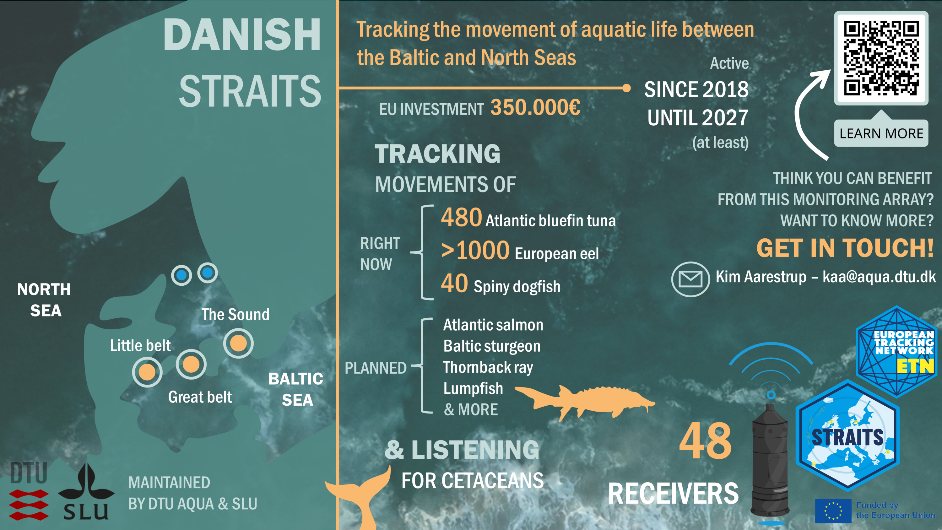 danish straits one pager