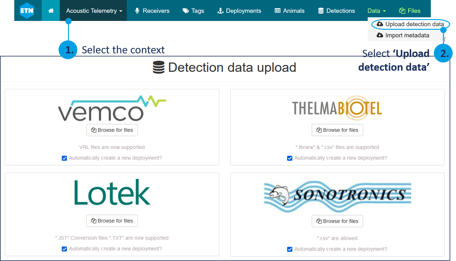 detections file step 2