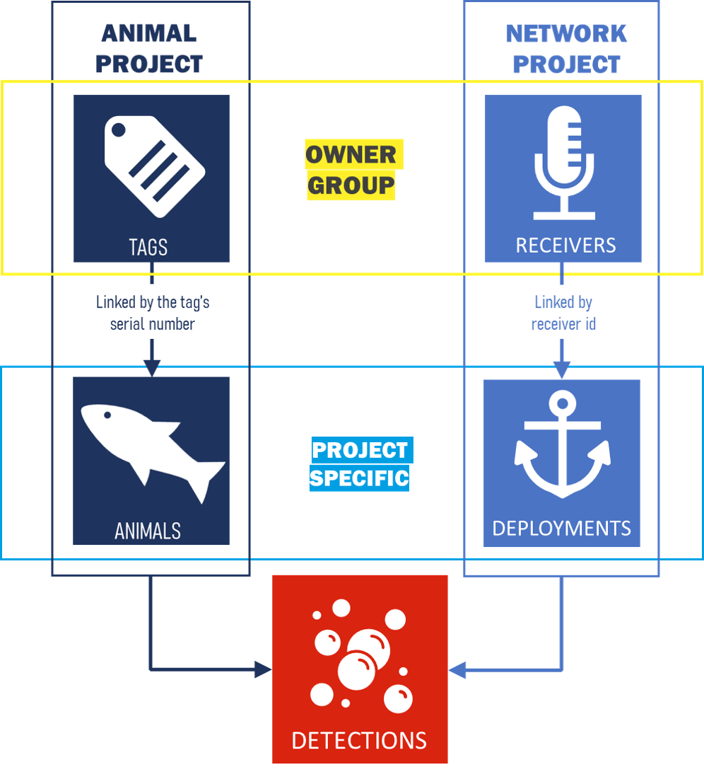 ETN structure